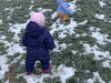 IMG-72cfd4df861d49ad281f718619f33cd7-V