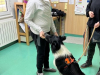 IMG-6732