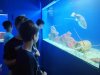 IMG_20260617_133535