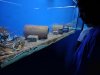 IMG_20260617_133559