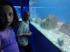 IMG_20260617_133718