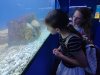 IMG_20260617_133752