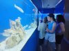 IMG_20260617_133947