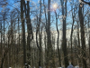 1_20250118_095325