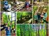 Collage_20240529_131621