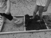 DSC03016